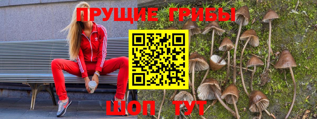 Галлюциногенные грибы ЛСД Гудермес