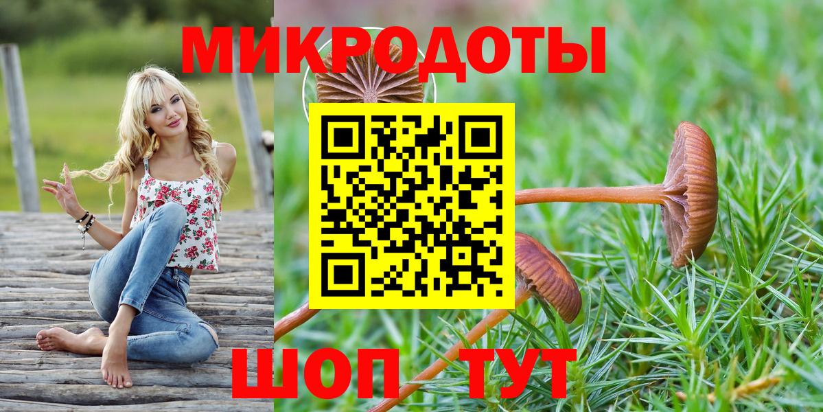 Гудермес  Псилоцибиновые грибы ЛСД  Вход с VPN 